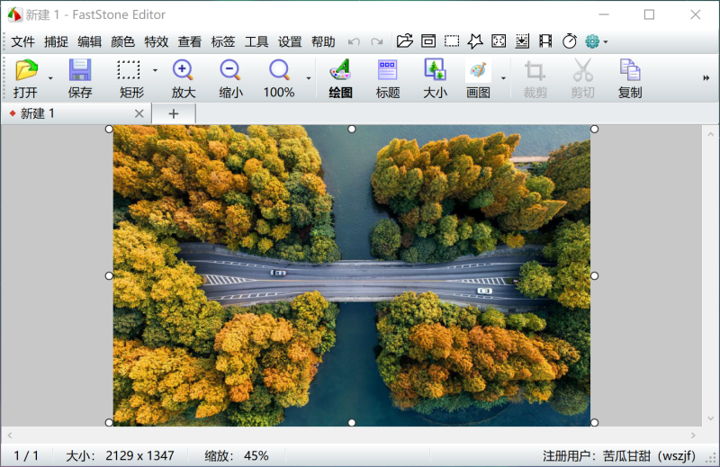 截图录像编辑工具 FastStoneCapture v11.0 